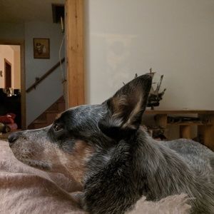 Meet your Posher, Christine